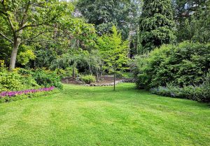 Optimiser l'expérience du jardin à Plaigne